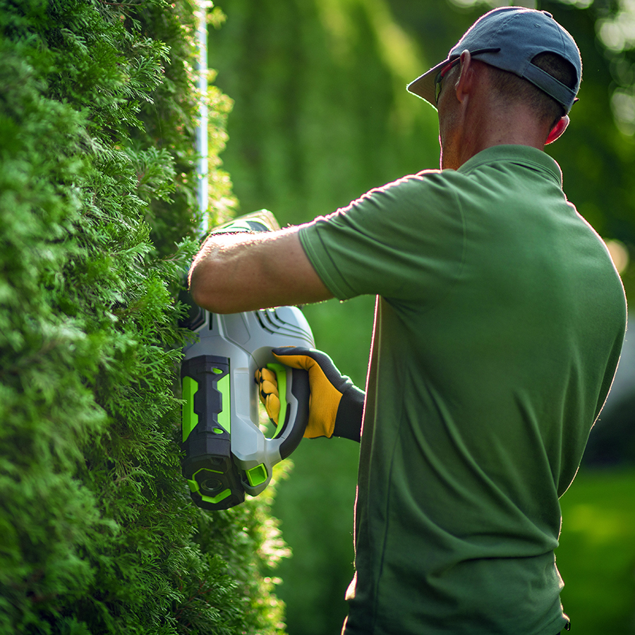 Taille de haie Sherbrooke Magog