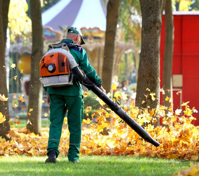 Ramassage de feuilles Sherbrooke