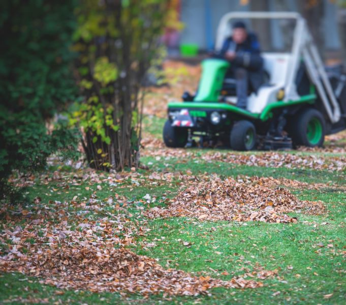 Ramassage de feuilles Sherbrooke